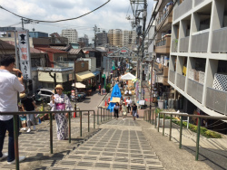 コラム谷中だんだん